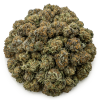 Butter Cookies – Wholesale