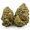 Platinum GSC