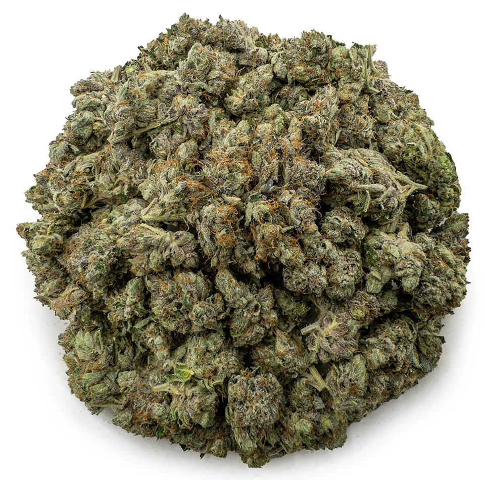 Purple Barney Rockstar – Wholesale
