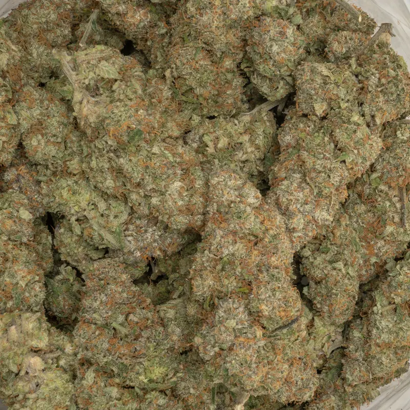 Sherb Cream Pie - Image 2